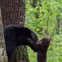 IMG_20250903_064732