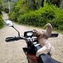 IMG_20250904_064916