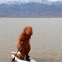IMG_20250904_065214