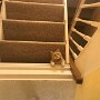 IMG_20250904_065241