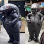 IMG_20250904_065248