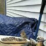 IMG_20250905_064404