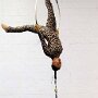 IMG_20250906_063256