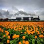 IMG_20250906_063316