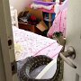 IMG_20250906_063339