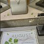 IMG_20250907_072700