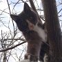IMG_20250908_090313