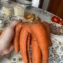 IMG_20250909_065651