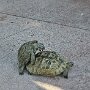IMG_20250909_065747
