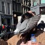 IMG_20250911_064723