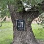 IMG_20250911_064811