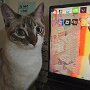 IMG_20250912_065835