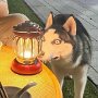IMG_20251017_064919