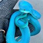 IMG_20251017_065014