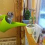 IMG_20251017_065058