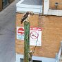 IMG_20251017_065132