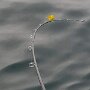 IMG_20251018_082930