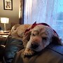 IMG_20251018_083048