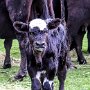 IMG_20251018_083143