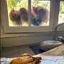 IMG_20251009_064233
