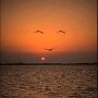 IMG_20251011_092640
