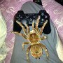 IMG_20251012_075531