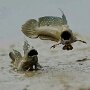 IMG_20251012_075752