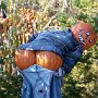 IMG_20251014_064717