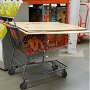 IMG_20251014_064731