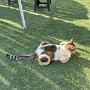 IMG_20251014_064926
