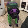 IMG_20251015_065609