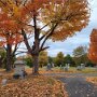 IMG_20251016_065834