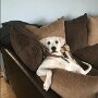 IMG_20251016_065849