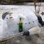 IMG_20250303_073520