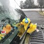 IMG_20250305_073612