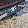 IMG_20250307_073751