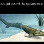 IMG_20250313_072819