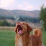 IMG_20250323_081818
