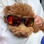 IMG_20250326_072828
