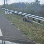 IMG_20250404_072745