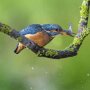 IMG_20250407_072334