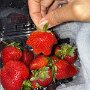 IMG_20250408_072424