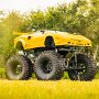 IMG_20250420_075549