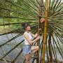 IMG_20250420_075709