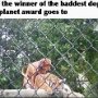 IMG_20250420_075735