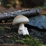 IMG_20250421_082340
