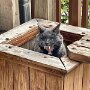 IMG_20250425_070833