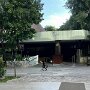 IMG_20250501_072918
