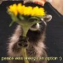 IMG_20250502_073034