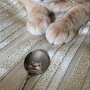 IMG_20250503_061434